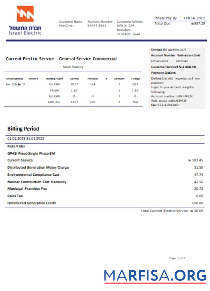 Blank Electric Corporation utility business bill SCR sample